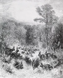 Os coelhos, ilustração de «Fábulas» de La Fontaine, 1868